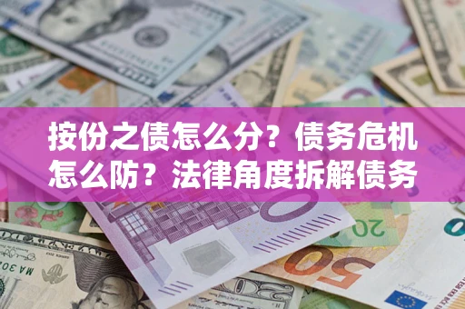 武汉按份之债怎么分？债务危机怎么防？法律角度拆解债务分配与风险自保指南