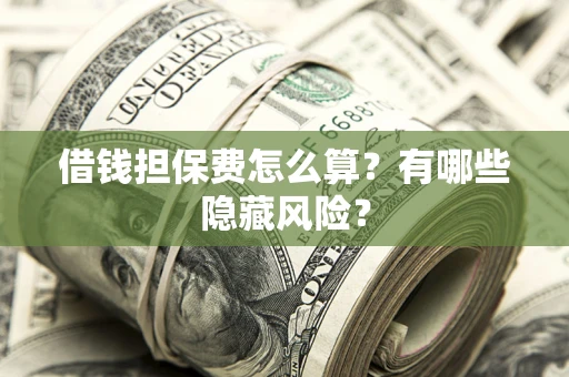 武汉借钱担保费怎么算？有哪些隐藏风险？