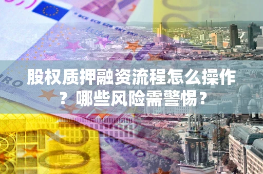 武汉股权质押融资流程怎么操作？哪些风险需警惕？