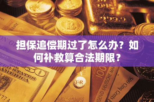 武汉担保追偿期过了怎么办？如何补救算合法期限？