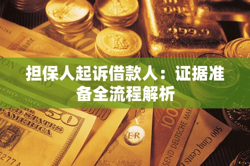 武汉担保人起诉借款人：证据准备全流程解析