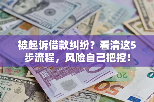 武汉被起诉借款纠纷？看清这5步流程，风险自己把控！